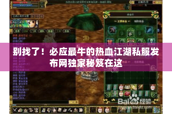 别找了！必应最牛的热血江湖私服发布网独家秘笈在这