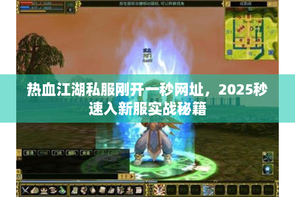 热血江湖私服刚开一秒网址，2025秒速入新服实战秘籍