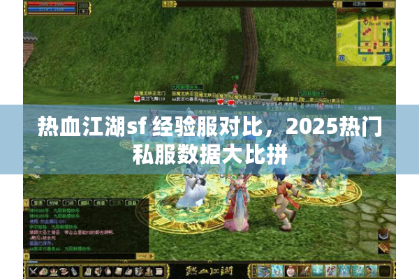热血江湖sf 经验服对比，2025热门私服数据大比拼